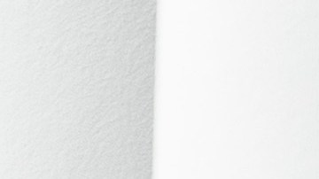 El mandatario demócrata renunció en julio a su carrera a la reelección.