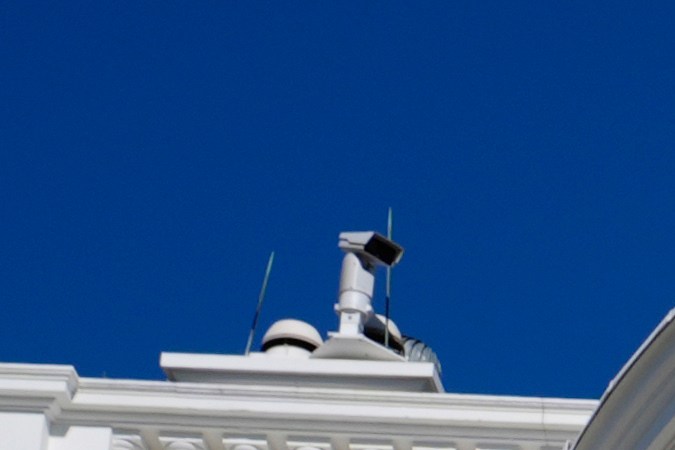 El indulto de pavos es una tradición que lleva más de 70 años vigente.