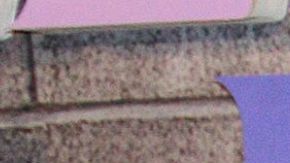 José Eduardo Derbez Paola Dalay Tessa