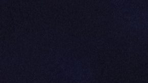 Julio César Chávez Jr.