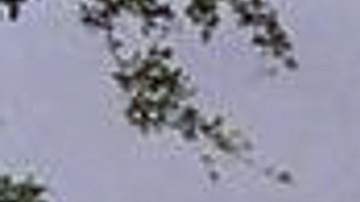 Hailey Bieber se convirtió en madre en este 2024.