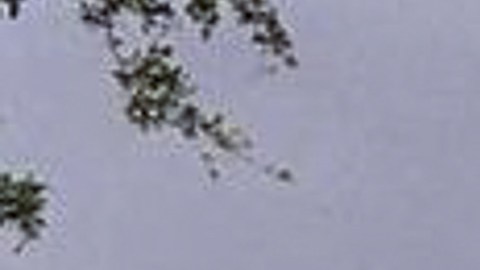 Hailey Bieber se convirtió en madre en este 2024.