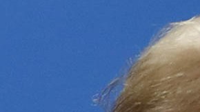 Justin Trudeau y Donald Trump