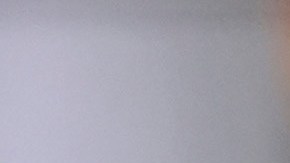 “Acepto la derrota, pero no voy a ceder en la lucha por la justicia y dignidad”: Kamala Harris