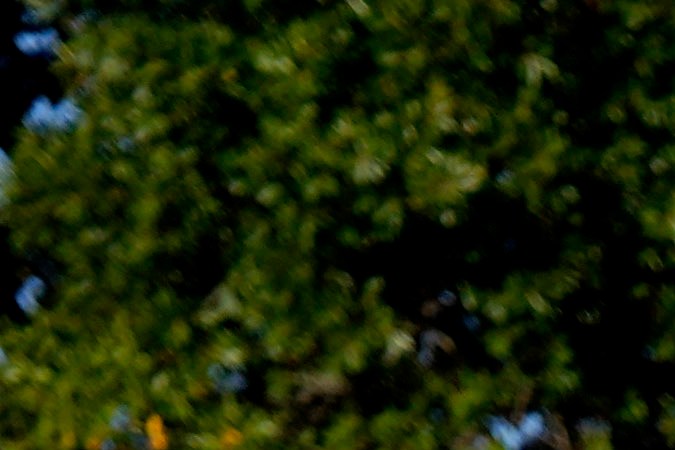 Seguidores de Harris abandonaron la universidad durante la noche a medida que se hacía cada vez más clara la ventaja de Trump.