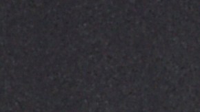 Travis Barker Kourtney Kardashian Rocky