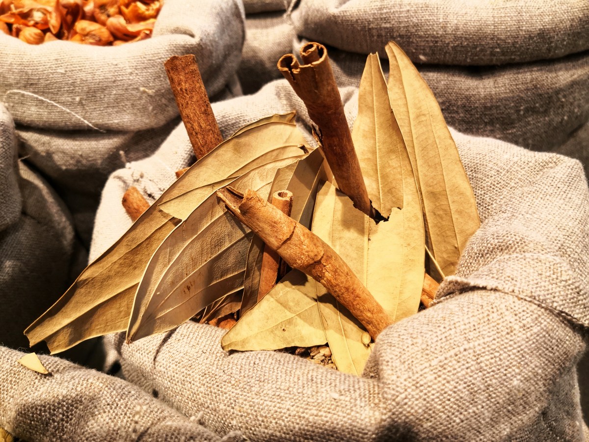 Coloca canela y laurel en tu zapato para que tu dinero rinda