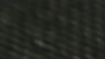 $900,000 por una moneda: este es el Lincoln Wheat Penny que todos quieren