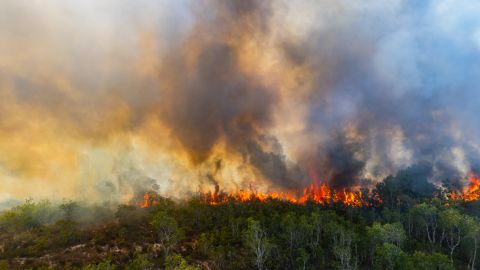 Quiles fue acusado de incendio provocado en cuarto grado, incendio provocado en quinto grado y puesta en peligro imprudente en segundo grado.