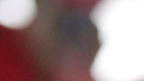 Marco Rubio se perfila como secretario de Estado en el segundo mandato de Trump
