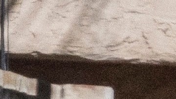 Margot Robbie y su esposo