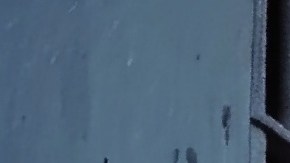 La investigación está actualmente en curso.