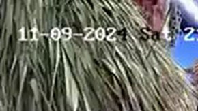 Masacre en bar mexicano