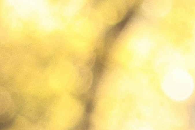 ChatGPT puede crear una dieta personalizada para tu mascota