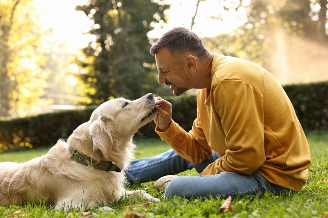 ChatGPT puede crear una dieta personalizada para tu mascota