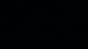 Michelle Renaud presume su embarazo al acompañar a Matías Novoa a la presentacion de la telenovela "Marea De Pasiones", la cual protagoniza/México, 29 de febrero 2024.