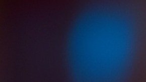 Ésta sigue siendo una investigación activa y en curso.