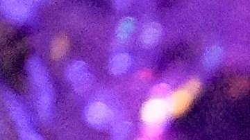 Miss Dinamarca se convirtió en la ganadora de la noche.