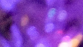 ¿Quiénes son las favoritas en el Miss Universo?