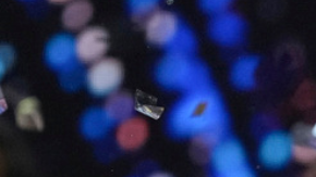 Miss Denmark Victoria Kjær Theilvig waves after winning the 73rd Miss Universe Beauty Pageant in Mexico City, Saturday, Nov. 16, 2024. (AP Photo/Fernando Llano)