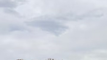 La oficina dijo que no revelará sus nombres por razones de privacidad.