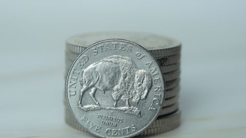 Moneda de bisonte de doble troquel