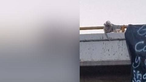 Narcomanta en Sinaloa