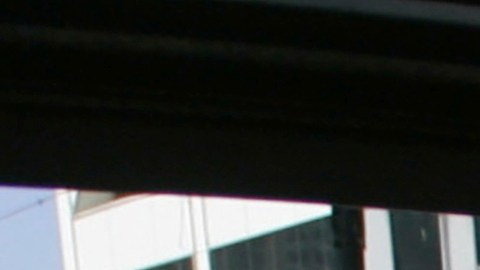 Como parte de la investigación, el desfile de Nueva Orleans fue clausurado inmediatamente.