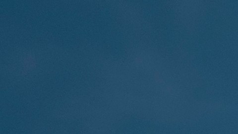 El vuelo transportaba tres perros y estaba asociado con un grupo sin fines de lucro que transporta animales rescatados con la ayuda de pilotos voluntarios.