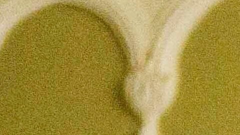 El secretario general de la OTAN, Mark Rutte, y el presidente ucraniano Volodimir Zelenski.