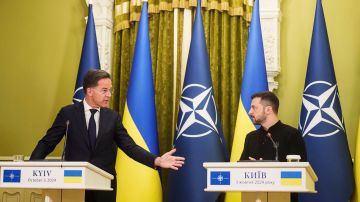 El secretario general de la OTAN, Mark Rutte, y el presidente ucraniano Volodimir Zelenski.