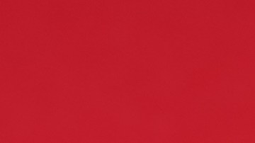 Pago del Seguro Social en Black Friday