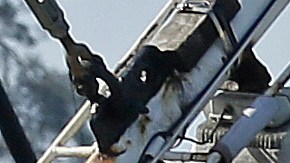 Fishermen stand on a boat loaded with crab pots, left, Thursday, Nov. 5, 2015, at Fisherman's Wharf in San Francisco. California officials are considering delaying the Dungeness crab season and closing the rock crab fishery just days after warning of dangerous levels of a neurotoxin linked to a massive algae bloom off the West Coast. (AP Photo/Ben Margot)