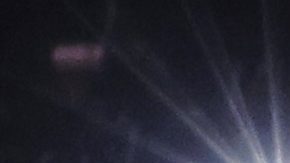 Isaac 'Pitbull' Cruz