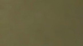 Departamento de Justicia abre investigación sobre muerte de mujer afroamericana a manos de policía en Illinois