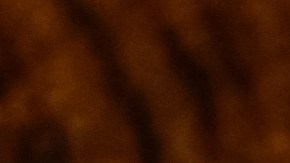 El REAL ID será obligatorio para viajar en vuelos nacionales dentro de Estados Unidos.