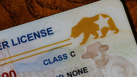 El REAL ID será obligatorio para viajar en vuelos nacionales dentro de Estados Unidos.