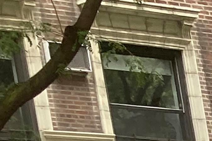 Repartidor de Amazon hace fuerte denuncia.