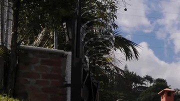 Servicio forense en Colombia