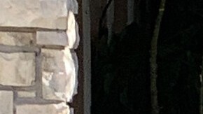 Los agentes arrestaron a los sospechosos de fraude.