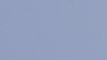 Ninguno de los pasajeros a bordo del vuelo de Spirit Airlines resultó herido.