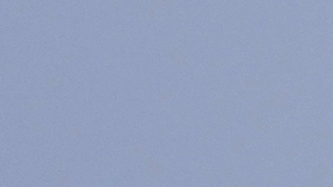 Ninguno de los pasajeros a bordo del vuelo de Spirit Airlines resultó herido.