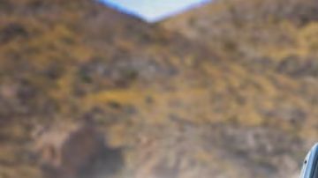Toyota Tacoma ProRunner el tributo off-road de Toyota