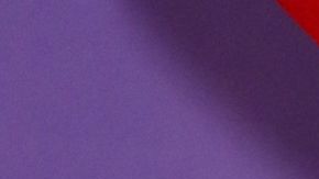 Thalía Tommy Mottola