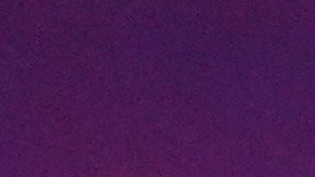 FILE - Republican presidential nominee former President Donald Trump and South Dakota Gov. Kristi Noem dance to the song "Y.M.C.A." at a campaign town hall at the Greater Philadelphia Expo Center & Fairgrounds, Oct. 14, 2024, in Oaks, Pa. (AP Photo/Matt Rourke, File)