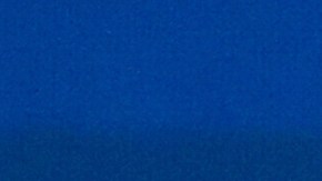 Putin felicita a un "valiente" Trump por su victoria y abre la puerta para retomar el contacto