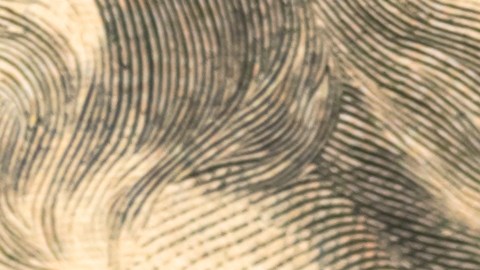 Walmart billetes