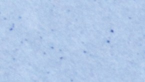 Argueta Ramírez, de 19 años, de Woodbridge, Virginia, es ciudadano estadounidense y era buscado en el condado de Prince William, Virginia, por homicidio.