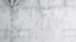 Zagato Shooting Brake la obra maestra de Aston Martin