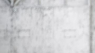 Zagato Shooting Brake la obra maestra de Aston Martin